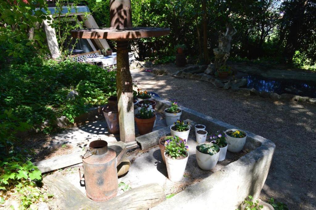 투르농쉬르론 카사 마르타 : 스위츠 - 테라세 스 에 뷔 파노라마 B&B 외부 사진