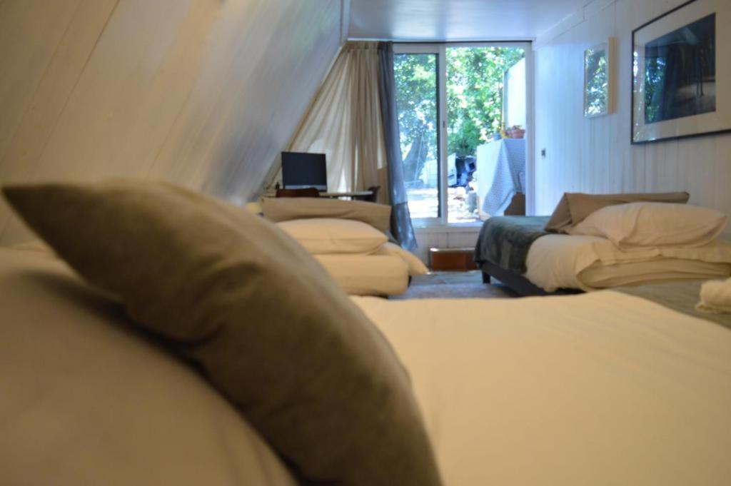 투르농쉬르론 카사 마르타 : 스위츠 - 테라세 스 에 뷔 파노라마 B&B 외부 사진