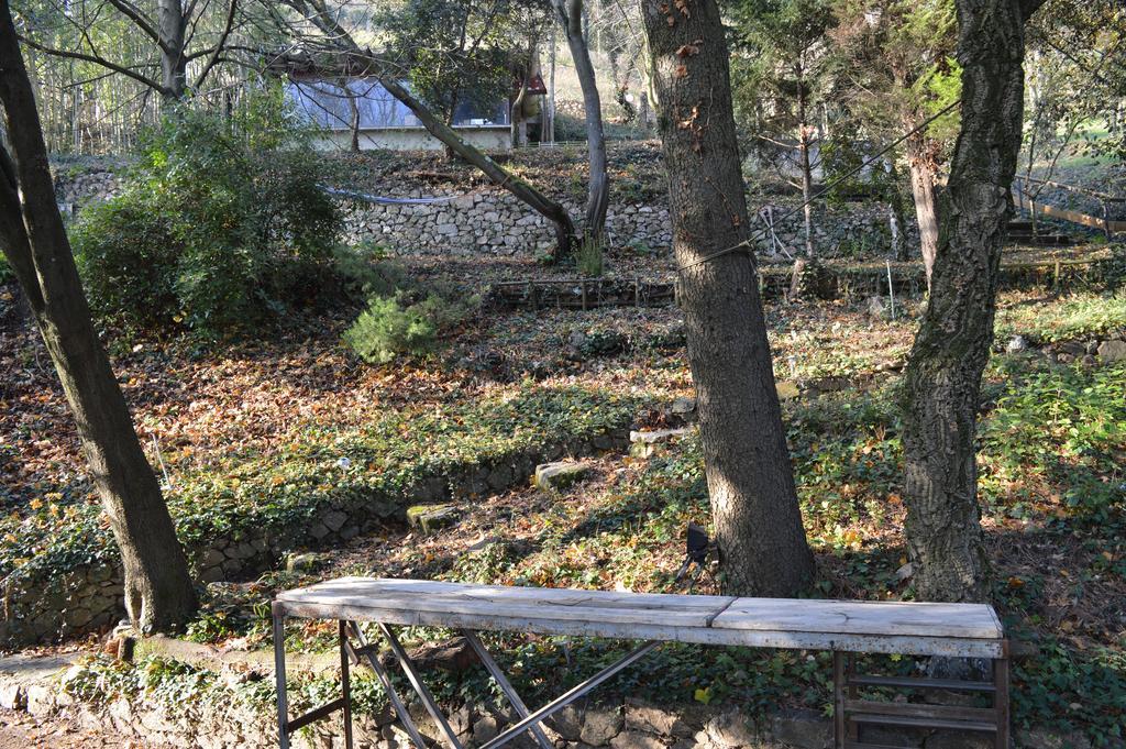 투르농쉬르론 카사 마르타 : 스위츠 - 테라세 스 에 뷔 파노라마 B&B 외부 사진